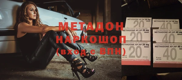 хмурый Аркадак