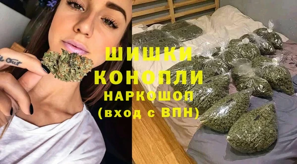 хмурый Аркадак