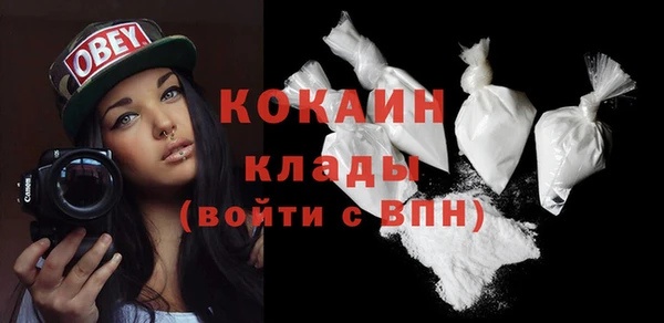 прущие грибы Арсеньев