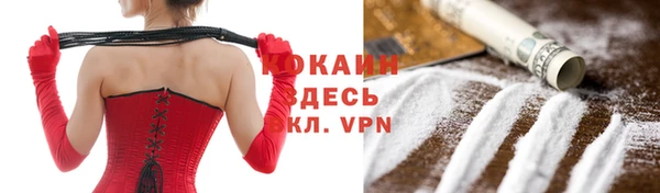 хмурый Аркадак