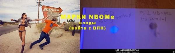 хмурый Аркадак