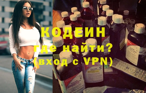 хмурый Аркадак