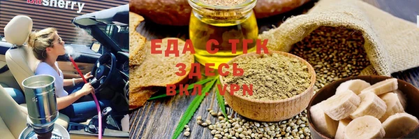 хмурый Аркадак
