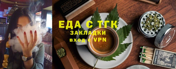 хмурый Аркадак