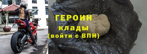 хмурый Аркадак