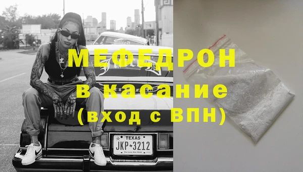 хмурый Аркадак