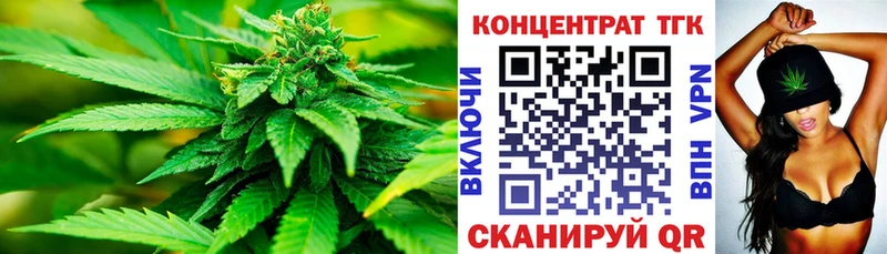 ТГК Wax  Приморск 
